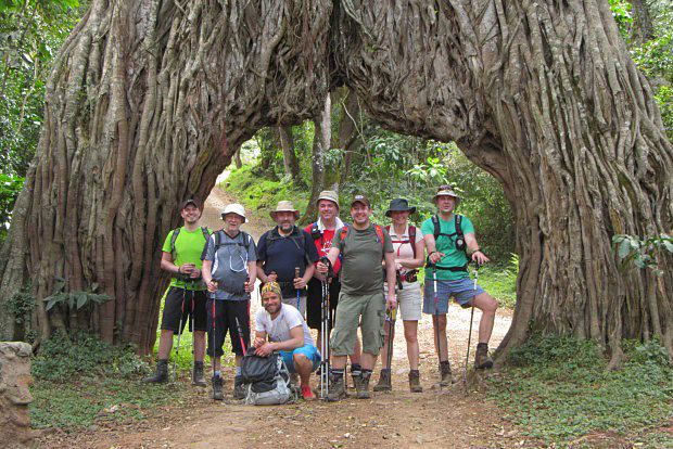 Fig tree tunnel Fig tree tunnel