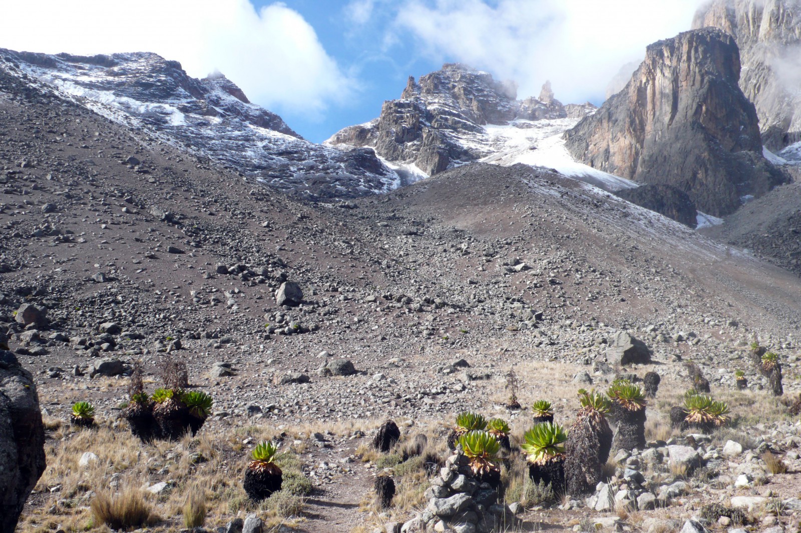 Mt. Kenya from Shipton camp Mt. Kenya