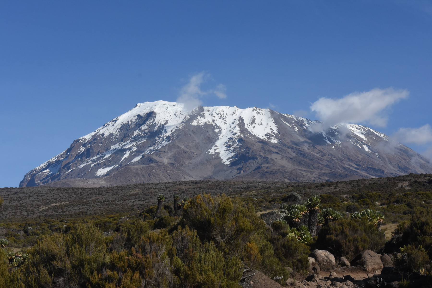 Kili_Peak